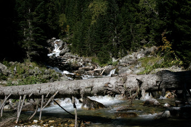 Similar image 1018890