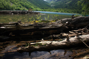 Similar image 1018893