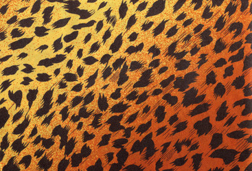 Similar image 1018899