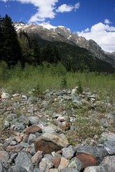 Similar image 1018922