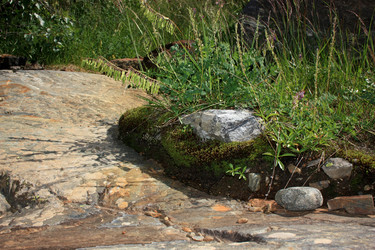 Similar image 1018931