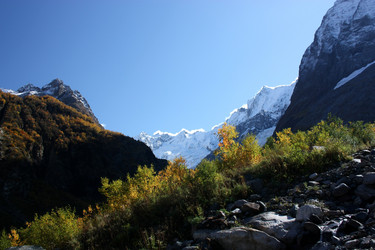 Similar image 1018932