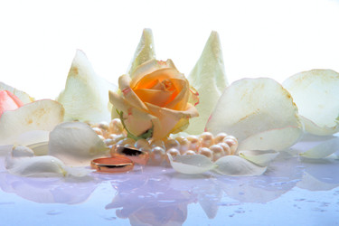 Similar image 1018953