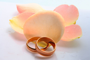 Similar image 1018954