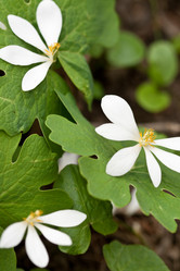 Similar image 1018995