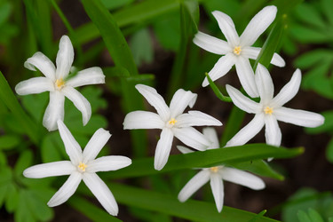 Similar image 1018998