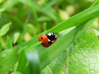 Similar image 1019008