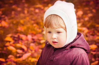 Similar image 1019015