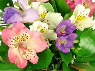 Similar image 1019021