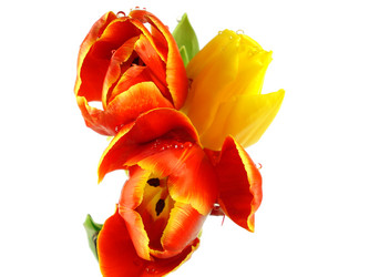 Similar image 1019022