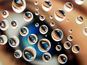 Similar image 1019023