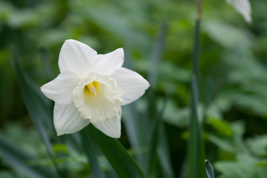 Similar image 1019033