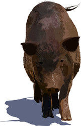 Similar image 1019034