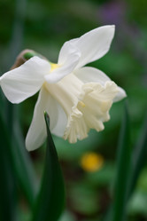 Similar image 1019035