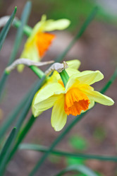 Similar image 1019036