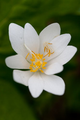 Similar image 1019038