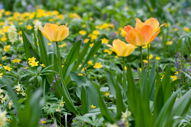 Similar image 1019040