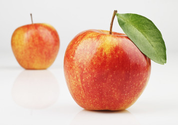 Similar image 1019062