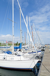 Similar image 1019081