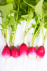 Similar image 1019109