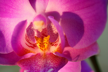 Similar image 1019113