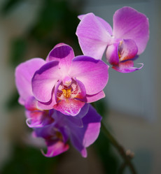 Similar image 1019122