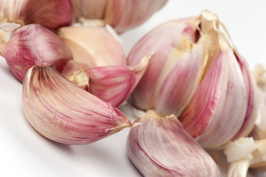 Similar image 1019127