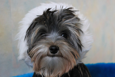 Similar image 1019131