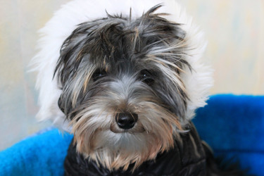 Similar image 1019132