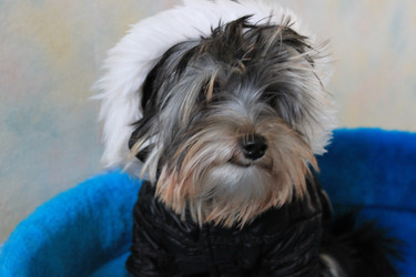 Similar image 1019134