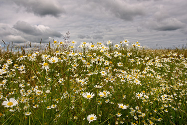 Similar image 1019136