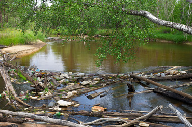 Similar image 1019145