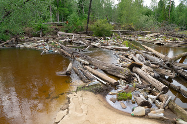 Similar image 1019147