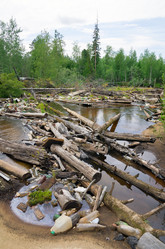 Similar image 1019148