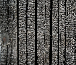 Similar image 1019156