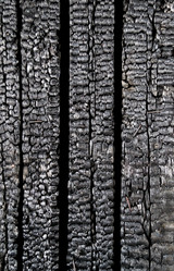 Similar image 1019160