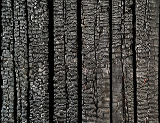 Similar image 1019161