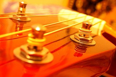 Similar image 1019169