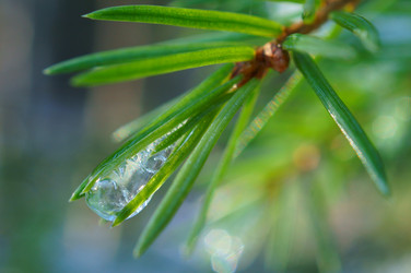 Similar image 1019182