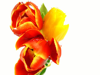 Similar image 1019183