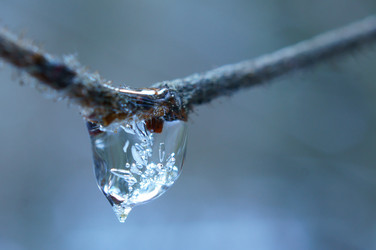 Similar image 1019184