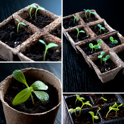 Similar image 1019194