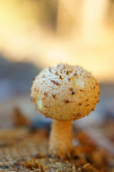 Similar image 1019198