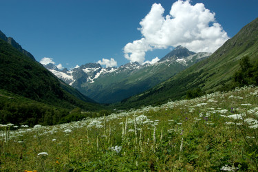 Similar image 1019199