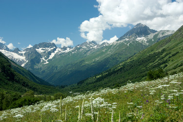 Similar image 1019200