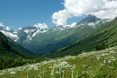 Similar image 1019201