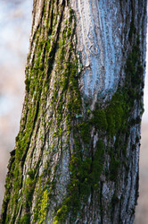 Similar image 1019219