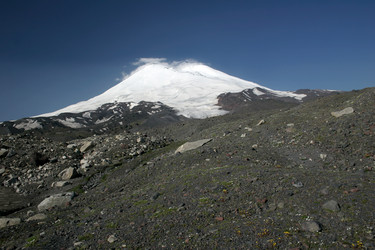 Similar image 1019236