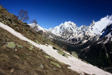 Similar image 1019241