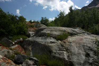 Similar image 1019242